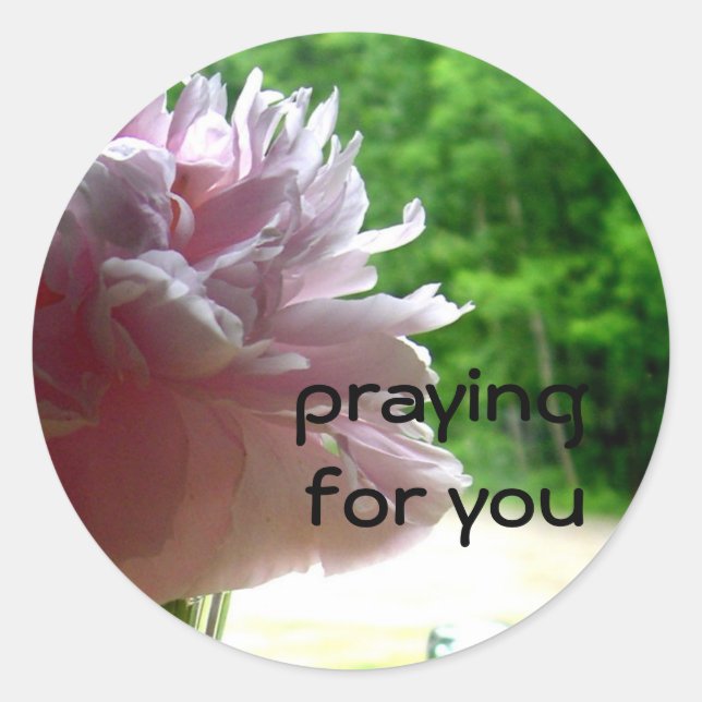 Praying Pink Peony Classic Round Sticker (Front)