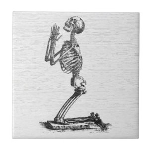 Praying Skeleton - Vintage Anatomical Art Tile