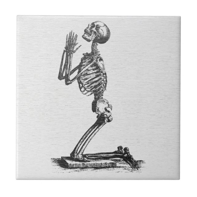 Praying Skeleton - Vintage Anatomical Art Tile (Front)