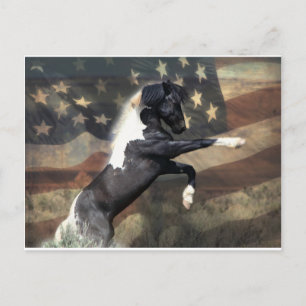 Pre-Addressed Postcard to the Dept of the Interior