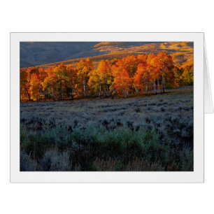 "pré d'été supérieur"