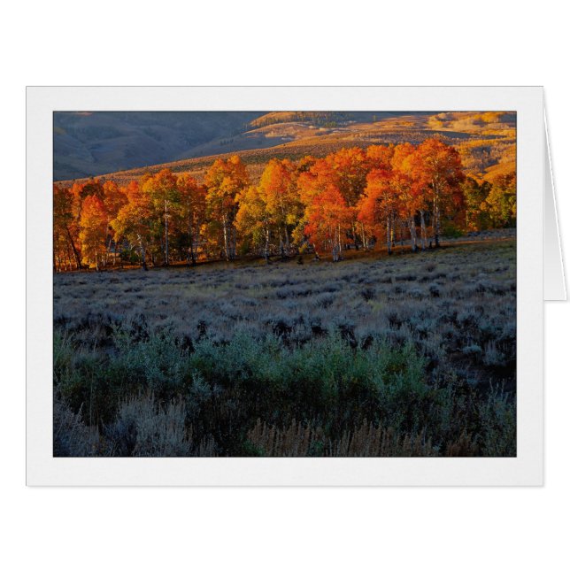 "pré d'été supérieur" (Devant horizontal)