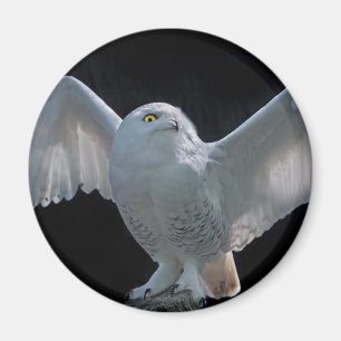 Pre-Flight Check Magnet