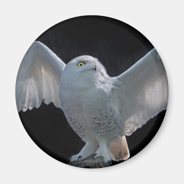 Pre-Flight Check Magnet (Front)