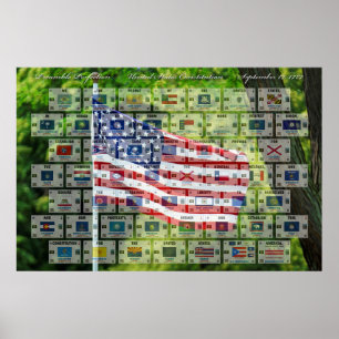 Preamble Perfection Flag - US Constitution Poster
