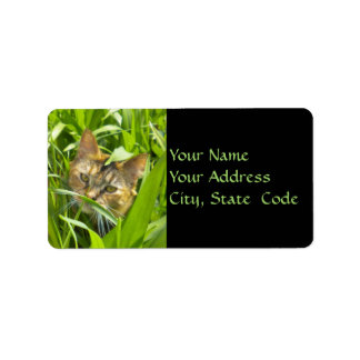 Précieuse jungle Kitty Étiquettes de adresse