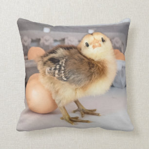 Precious Baby Chick and Eggs Throw Pillow