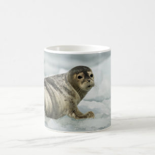 Precious Baby Seal Coffee Mug