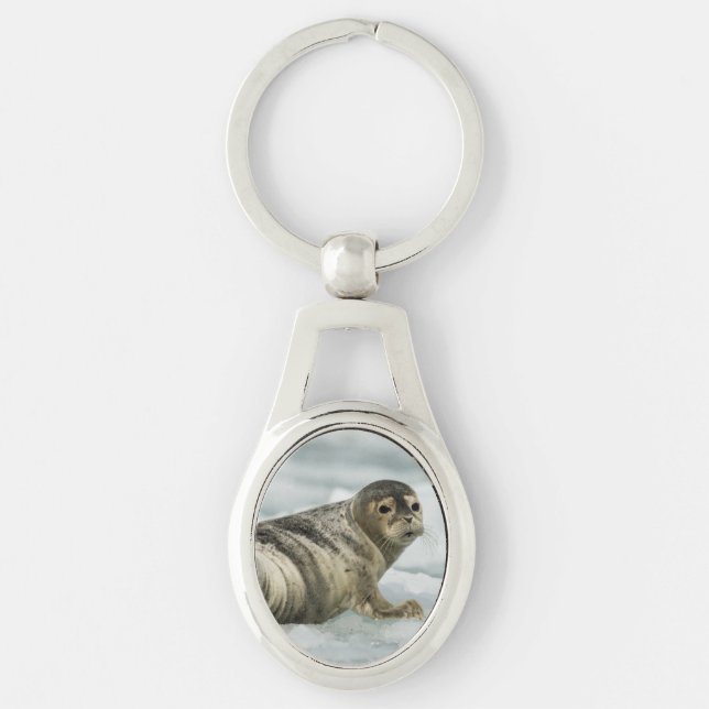 Precious Baby Seal Keychain (Front)