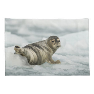 Precious Baby Seal Pillowcase