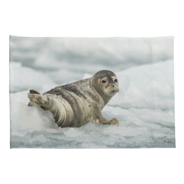 Precious Baby Seal Pillowcase (Back-Right)