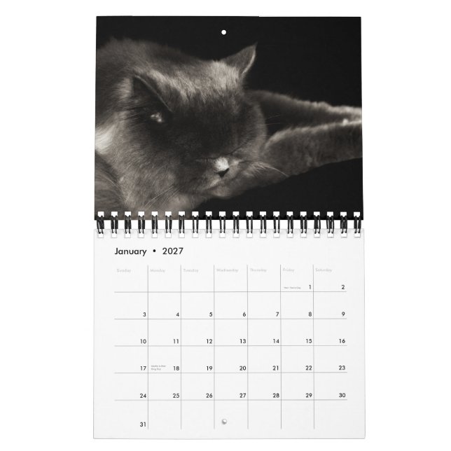 Precious Cats 2012 Calendar (Jan 2027)