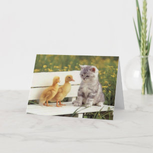 Precious Cats, Kittens Cards, Gifts -  Customize! Card