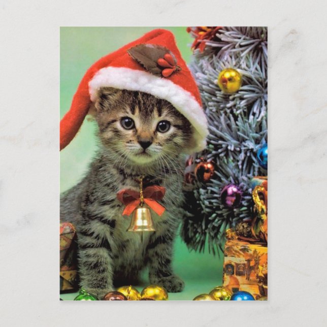 Precious Christmas Cat Holiday Postcard (Front)