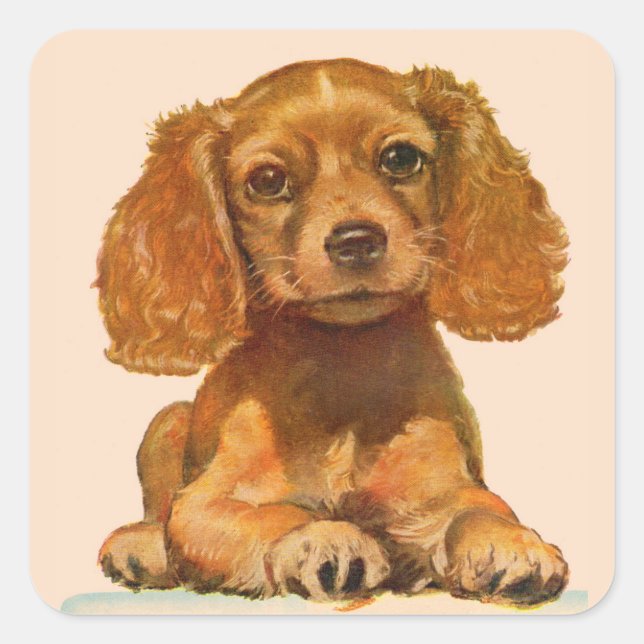 precious cocker spaniel puppy square sticker (Front)