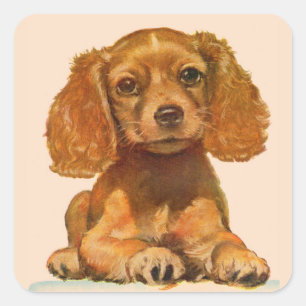 precious cocker spaniel puppy square sticker