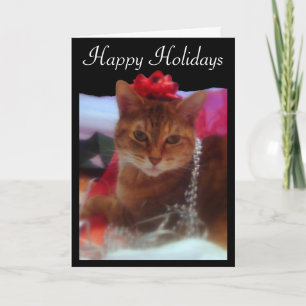 "Precious Gift" Cat Photography Holiday Card