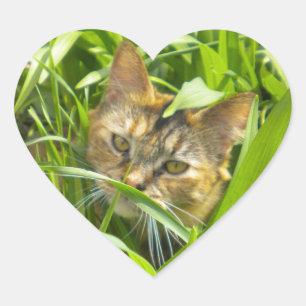 Precious Jungle Kitty Stickers