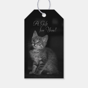 Precious Kitten A Gift for You Custom Text Tags