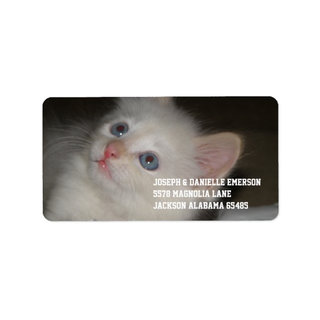 Precious Kitten Label (Front)