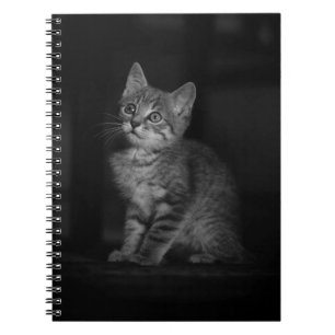 Precious Kitten Notebook