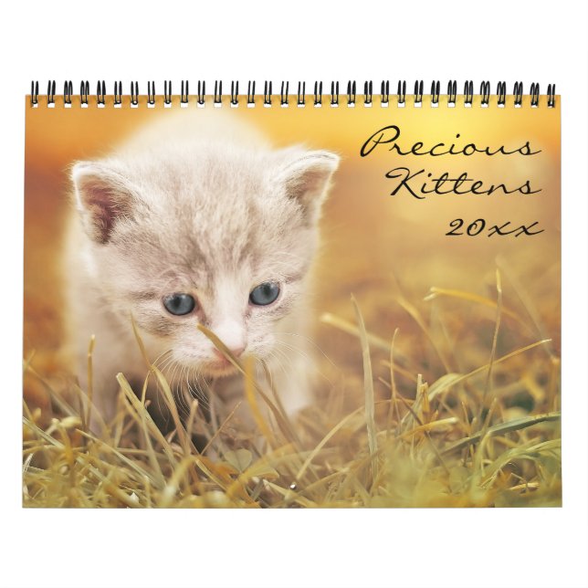 Precious Kittens  Calendar (Cover)