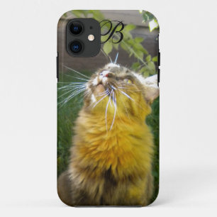 Precious Kitty Monogram iPhone 5 case