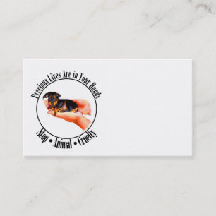 Precious Lives Business Cards