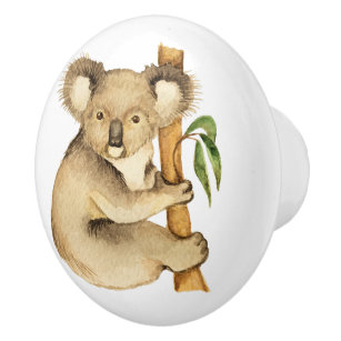 Precious Panda's Friend KoKo Koala Ceramic Knob