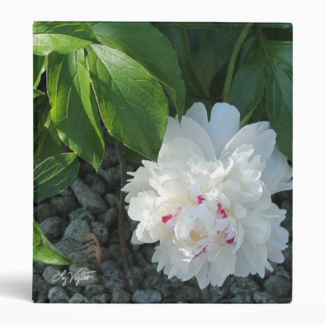 Precious Peony Binder (Front)
