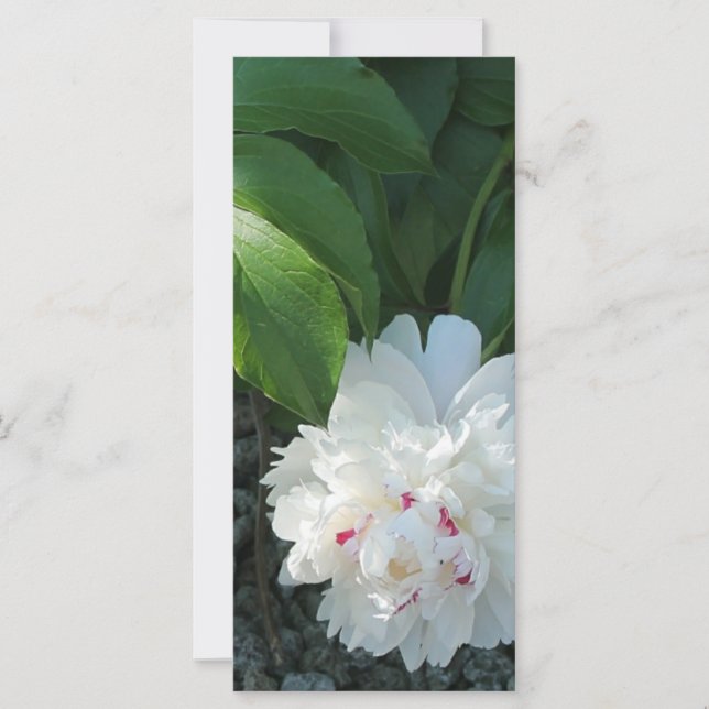 Precious Peony Bookmark (Front)