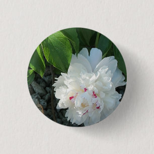 Precious Peony Button