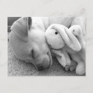 PRECIOUS PUPPY MOMENT POSTCARD