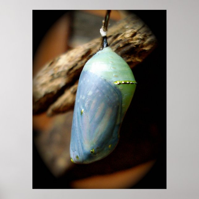 Precipice Poster (Front)