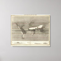 Precipitation World Map