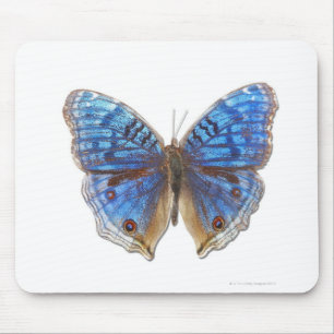 Precis rhadama mouse pad