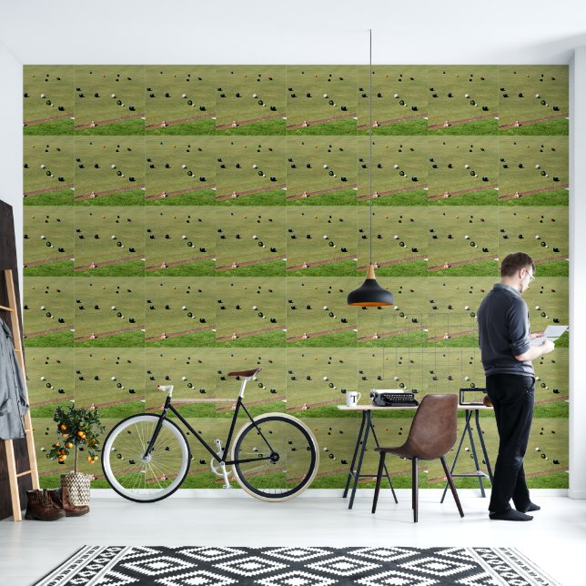 Precision and Strategy: Lawn Bowl Competition Game Wallpaper (Living Room)