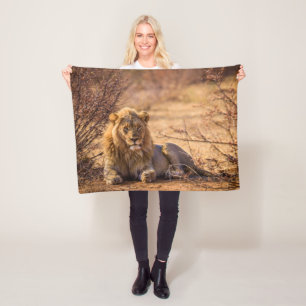 Predator Lion in South Africa Fleece Blanket
