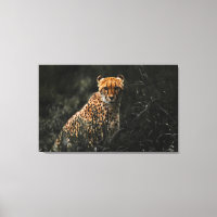 Predator Or Prey Staredown Wall Art