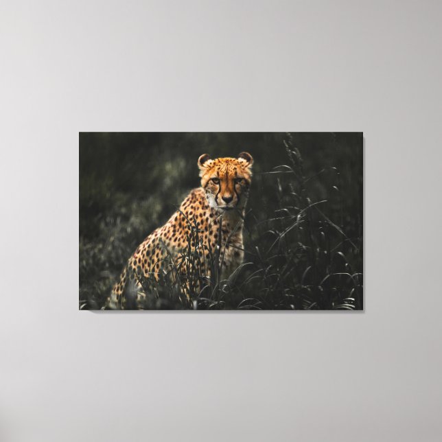 Predator Or Prey Staredown Wall Art (Front)