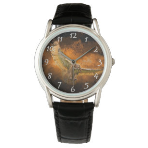 Predatory Owl Watch