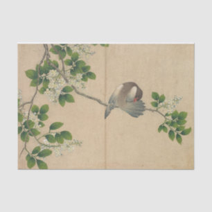 Preening Bird by Zhang Ruoai Tissue Paper