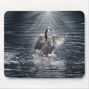 Preening Canada Goose & Water Wildlife Mouse Pad
