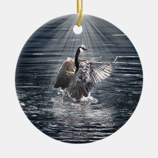 Preening, Flapping Canada Goose Photo Ceramic Ornament (Front)