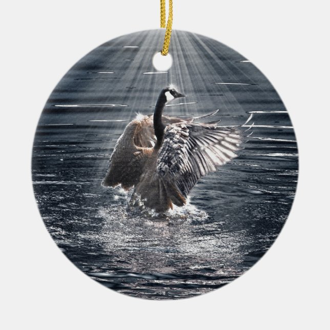 Preening, Flapping Wild Canada Goose Design Ceramic Ornament (Front)