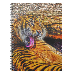 Preening Sumatran Tiger Big Cat Wildlife Art Notebook