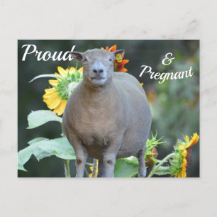 Pregnancy Announcement Card Quaint