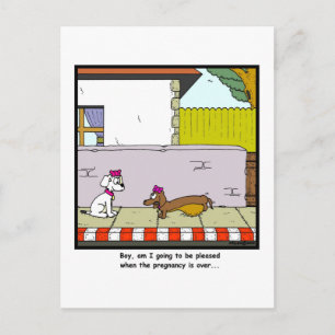 Pregnancy Announcement Postcard