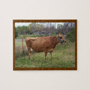 Pregnant Milk Cow Puzzle