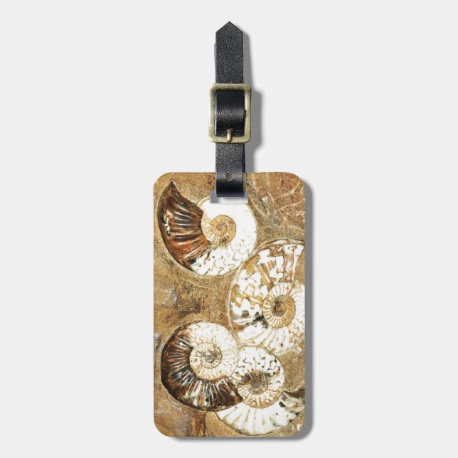 Prehistoric background with fossil shells luggage tag (Front Vertical)